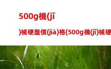 00g機(jī)械硬盤價(jià)格(500g機(jī)械硬盤價(jià)格表)"