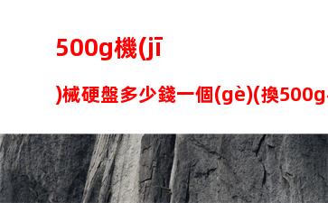 00g機(jī)械硬盤多少錢一個(gè)(換500g機(jī)械硬盤多少錢)"