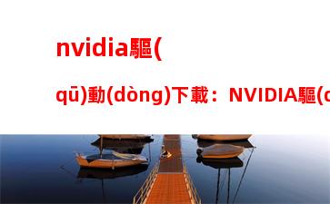 nvidia驅(qū)動(dòng)下載：NVIDIA驅(qū)動(dòng)下載不了