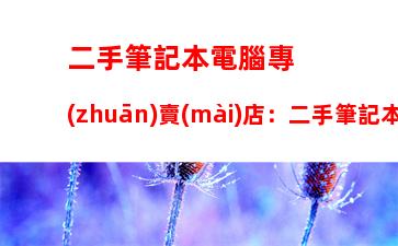 二手筆記本電腦專(zhuān)賣(mài)店：二手筆記本電腦回收一般多少錢(qián)