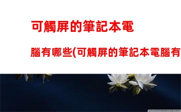 可觸屏的筆記本電腦有哪些(可觸屏的筆記本電腦有哪些聯(lián)想)