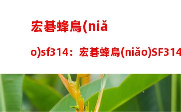 宏碁蜂鳥(niǎo)sf314：宏碁蜂鳥(niǎo)SF314充電器