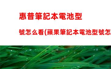 惠普筆記本電池型號怎么看(蘋果筆記本電池型號怎么看)