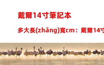 戴爾14寸筆記本多大長(zhǎng)寬cm：戴爾14寸筆記本多大