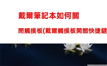 戴爾筆記本如何關閉觸摸板(戴爾觸摸板開關快捷鍵)