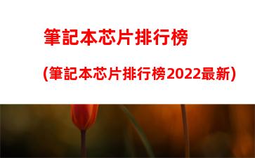 筆記本芯片排行榜(筆記本芯片排行榜2022最新)