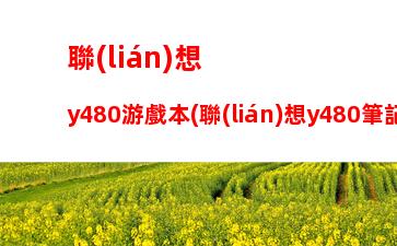 聯(lián)想y480游戲本(聯(lián)想y480筆記本電腦配置)