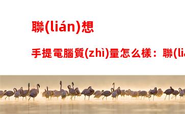 聯(lián)想y400系列筆記本：聯(lián)想y400筆記本參數(shù)