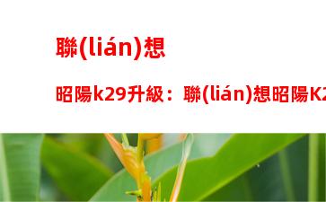 聯(lián)想昭陽k29升級：聯(lián)想昭陽K29升級超低電壓處理器