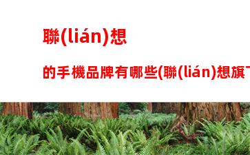 鍵盤沒壞就是打不了字，鍵盤沒壞就是打不了