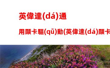 英偉達(dá)通用顯卡驅(qū)動(英偉達(dá)顯卡驅(qū)動安裝失敗怎么辦)