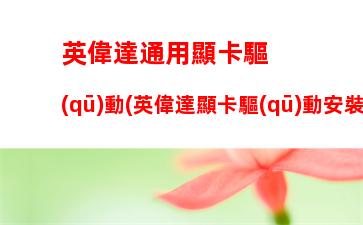 英偉達通用顯卡驅(qū)動(英偉達顯卡驅(qū)動安裝失敗怎么辦)