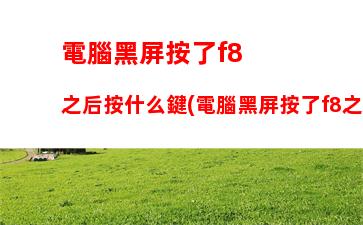 電腦黑屏按了f8之后按什么鍵(電腦黑屏按了f8之后按什么鍵長按開機)