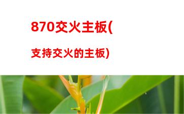 70會占內(nèi)存嗎(970主板配什么內(nèi)存)"