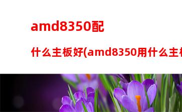 amdfx6300配什么顯卡(amdfx6300配什么散熱器)