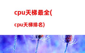 ddr4內(nèi)存ddr3主板(ddr4內(nèi)存可以裝在ddr3的主板上么)