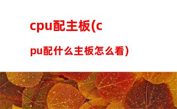 便宜的游戲本性價(jià)比高的(游戲筆記本性價(jià)比排行2023便宜)