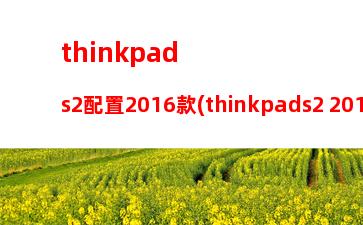 thinkpadx132021