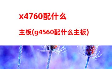 蘋果筆記本電腦怎么選(二手蘋果筆記本電腦怎么選)