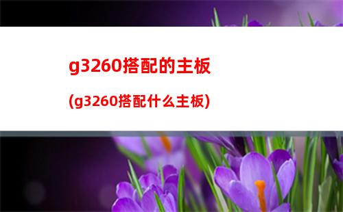 戴爾筆記本拆機(戴爾筆記本拆裝教程)